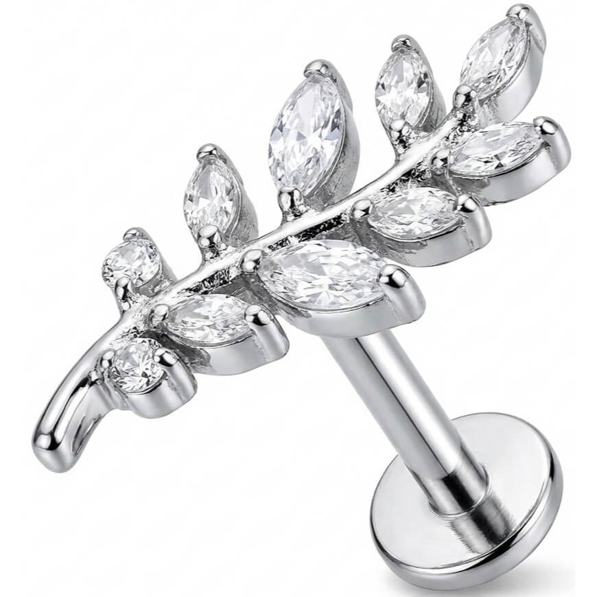 Unsere Titan Piercings